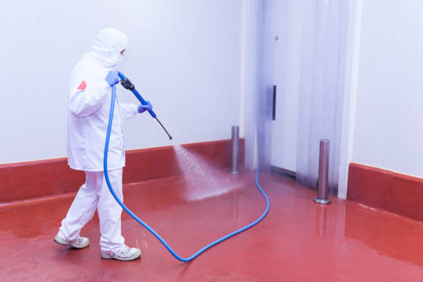 Trusted Myers Corner, NY Pressure Washing Services Experts